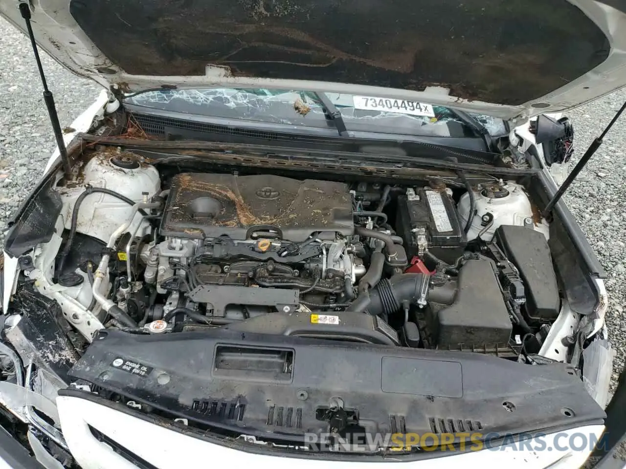 11 fotografías del automóvil dañado 4T1B11HK1KU796380 TOYOTA CAMRY 2019
