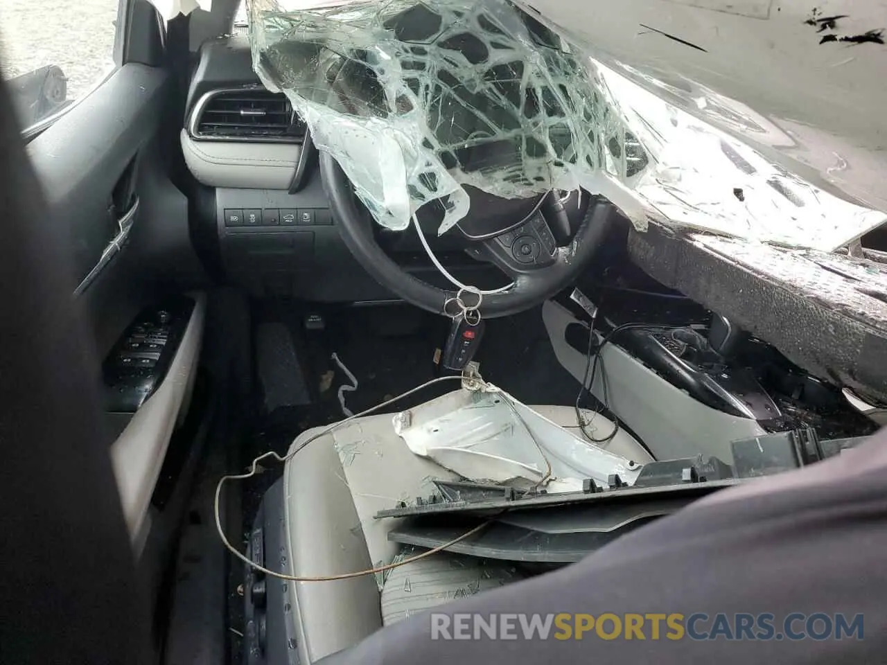 8 fotografías del automóvil dañado 4T1B11HK1KU796380 TOYOTA CAMRY 2019