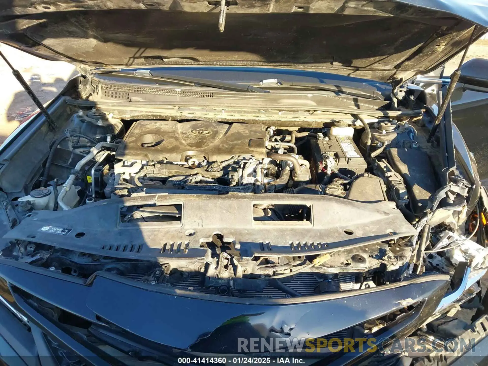 10 fotografías del automóvil dañado 4T1B11HK1KU807605 TOYOTA CAMRY 2019
