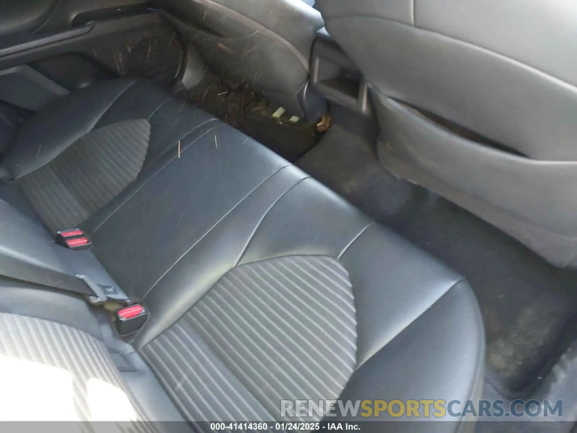 8 fotografías del automóvil dañado 4T1B11HK1KU807605 TOYOTA CAMRY 2019