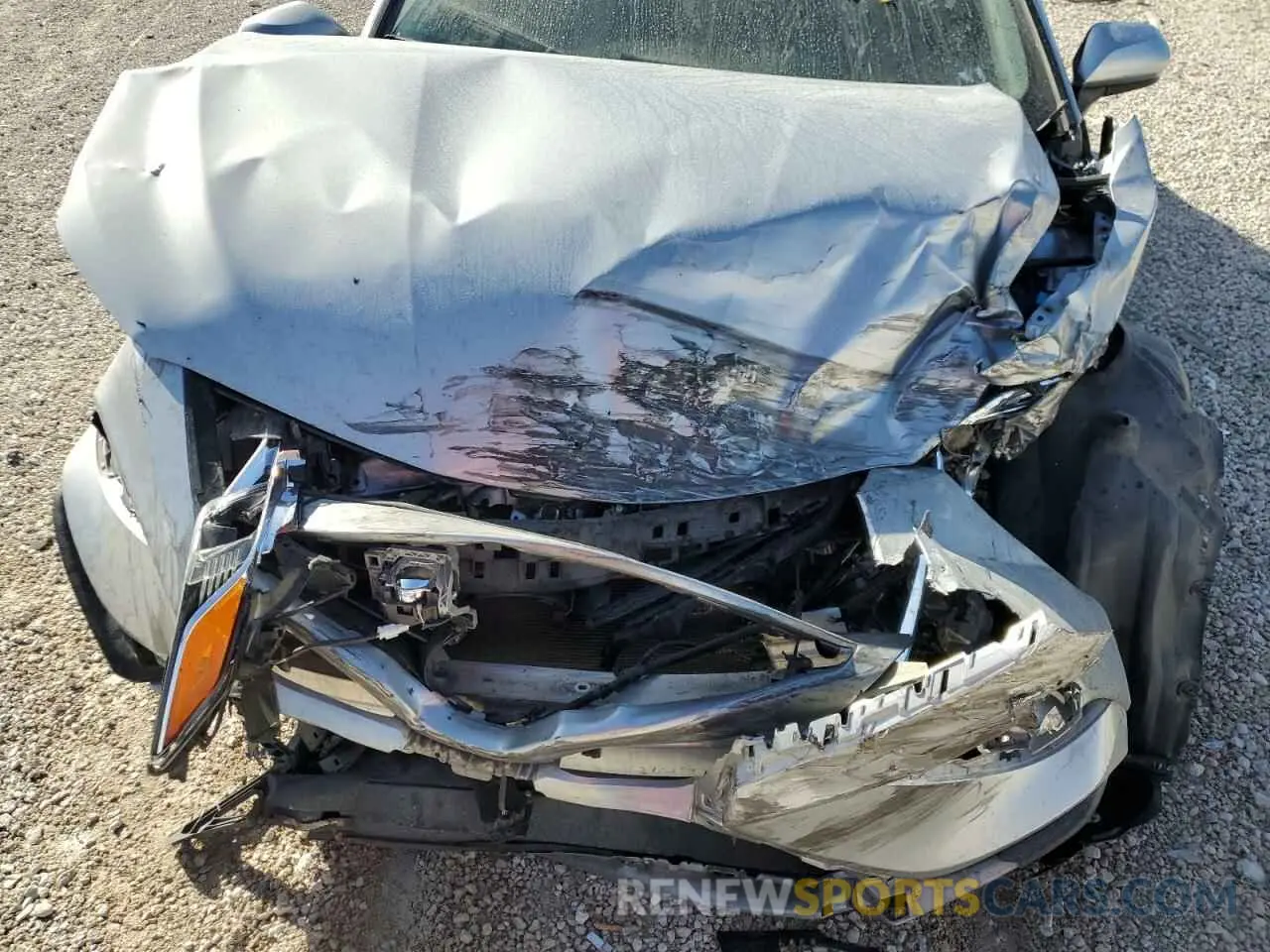 11 fotografías del automóvil dañado 4T1B11HK1KU809368 TOYOTA CAMRY 2019