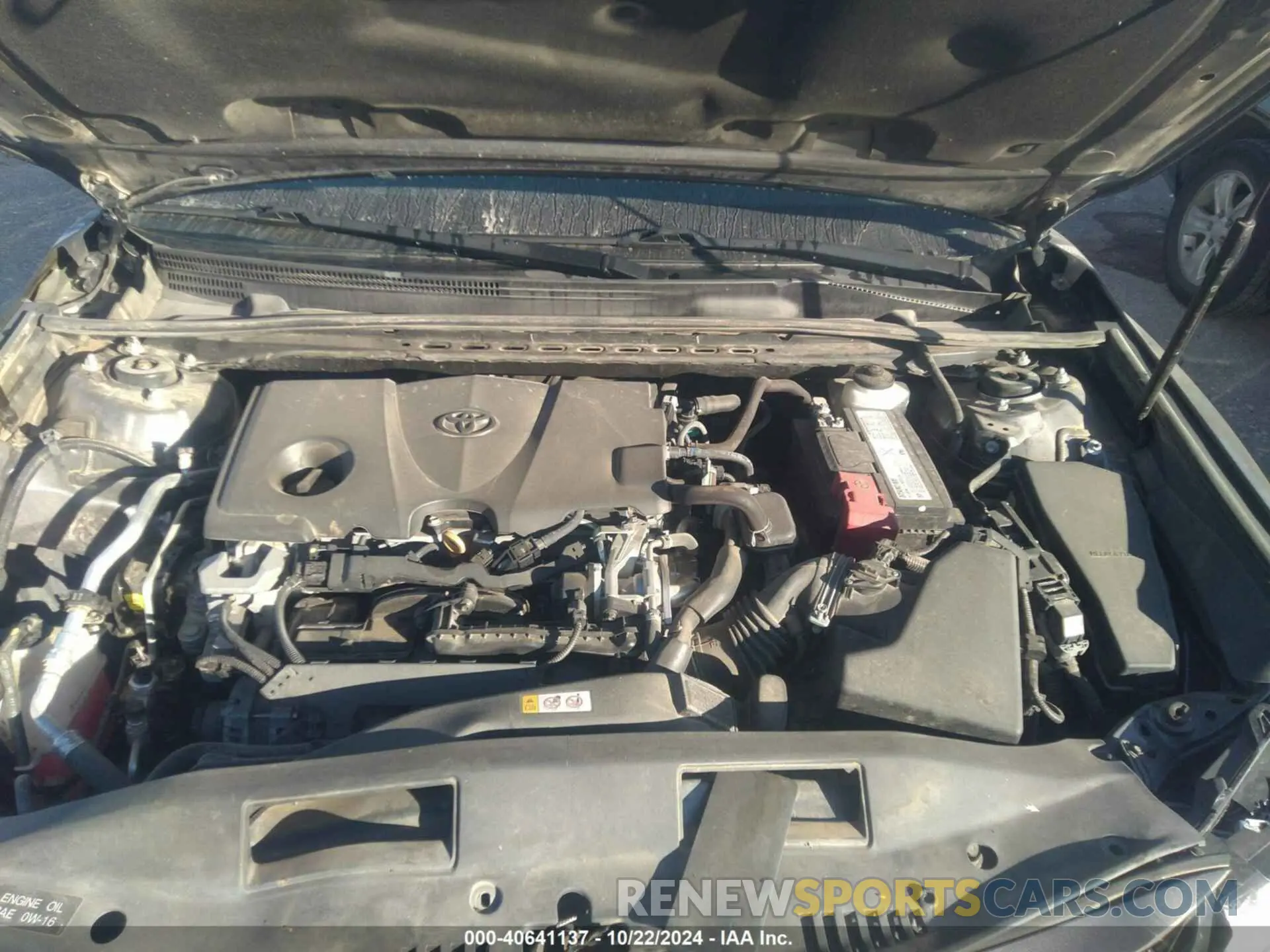 10 fotografías del automóvil dañado 4T1B11HK1KU809709 TOYOTA CAMRY 2019