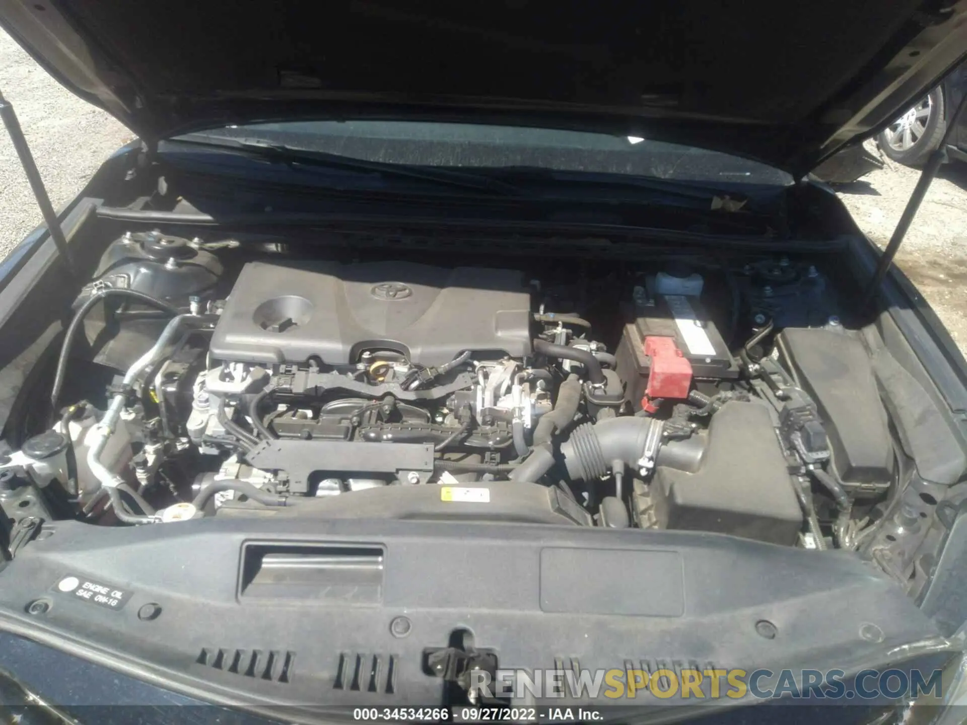 10 fotografías del automóvil dañado 4T1B11HK1KU812366 TOYOTA CAMRY 2019
