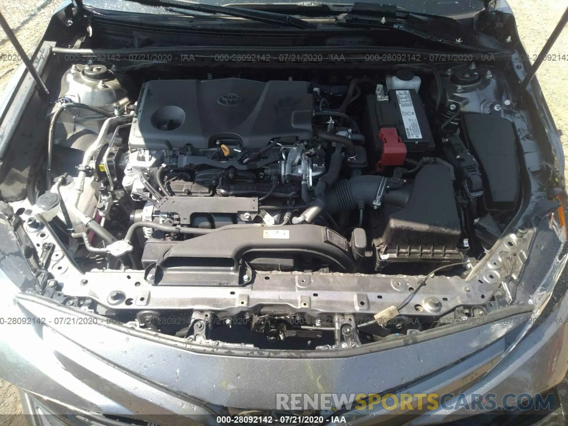 10 fotografías del automóvil dañado 4T1B11HK1KU812531 TOYOTA CAMRY 2019