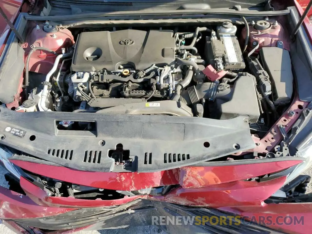 11 fotografías del automóvil dañado 4T1B11HK1KU818975 TOYOTA CAMRY 2019