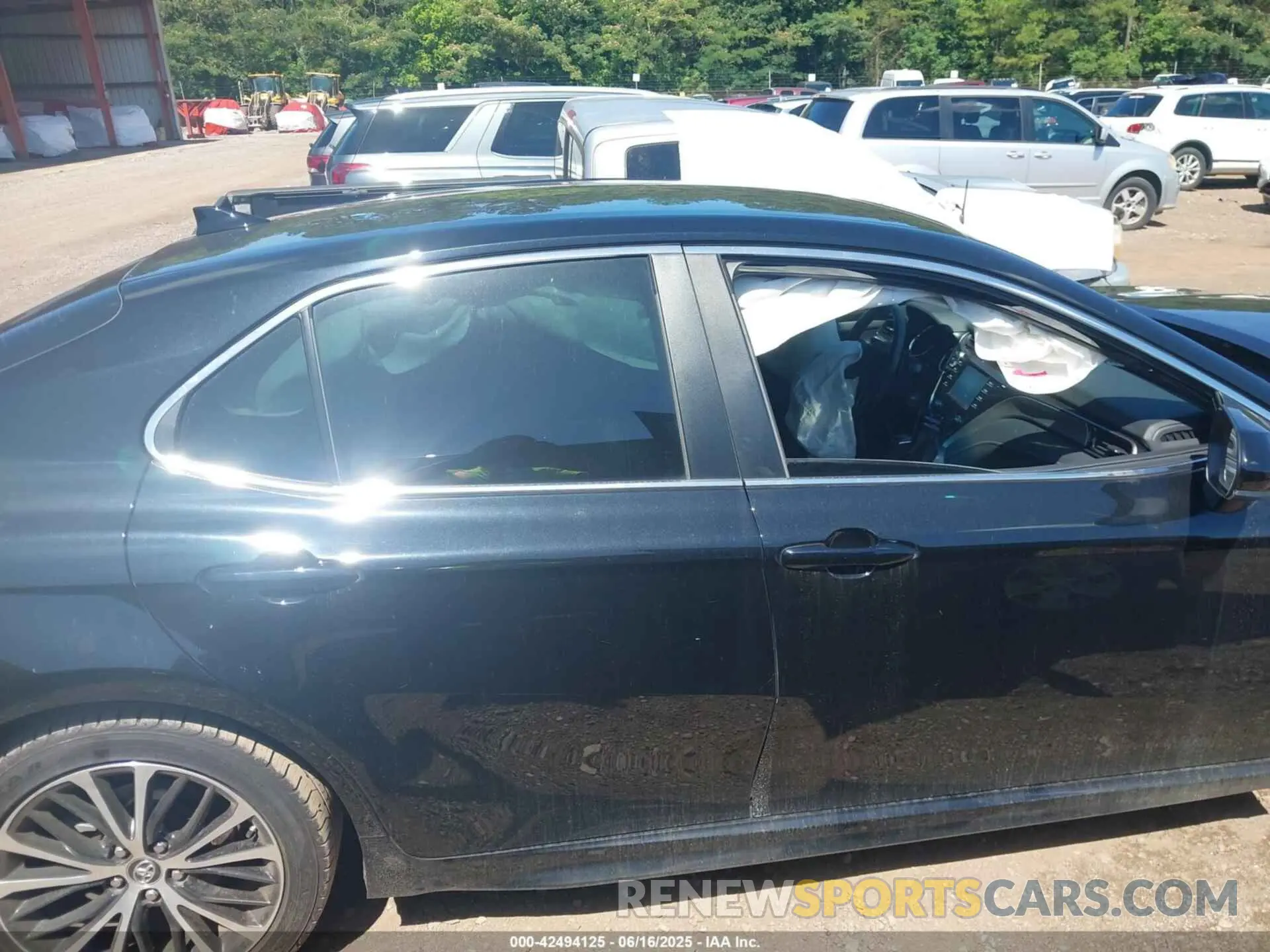 13 fotografías del automóvil dañado 4T1B11HK1KU827434 TOYOTA CAMRY 2019