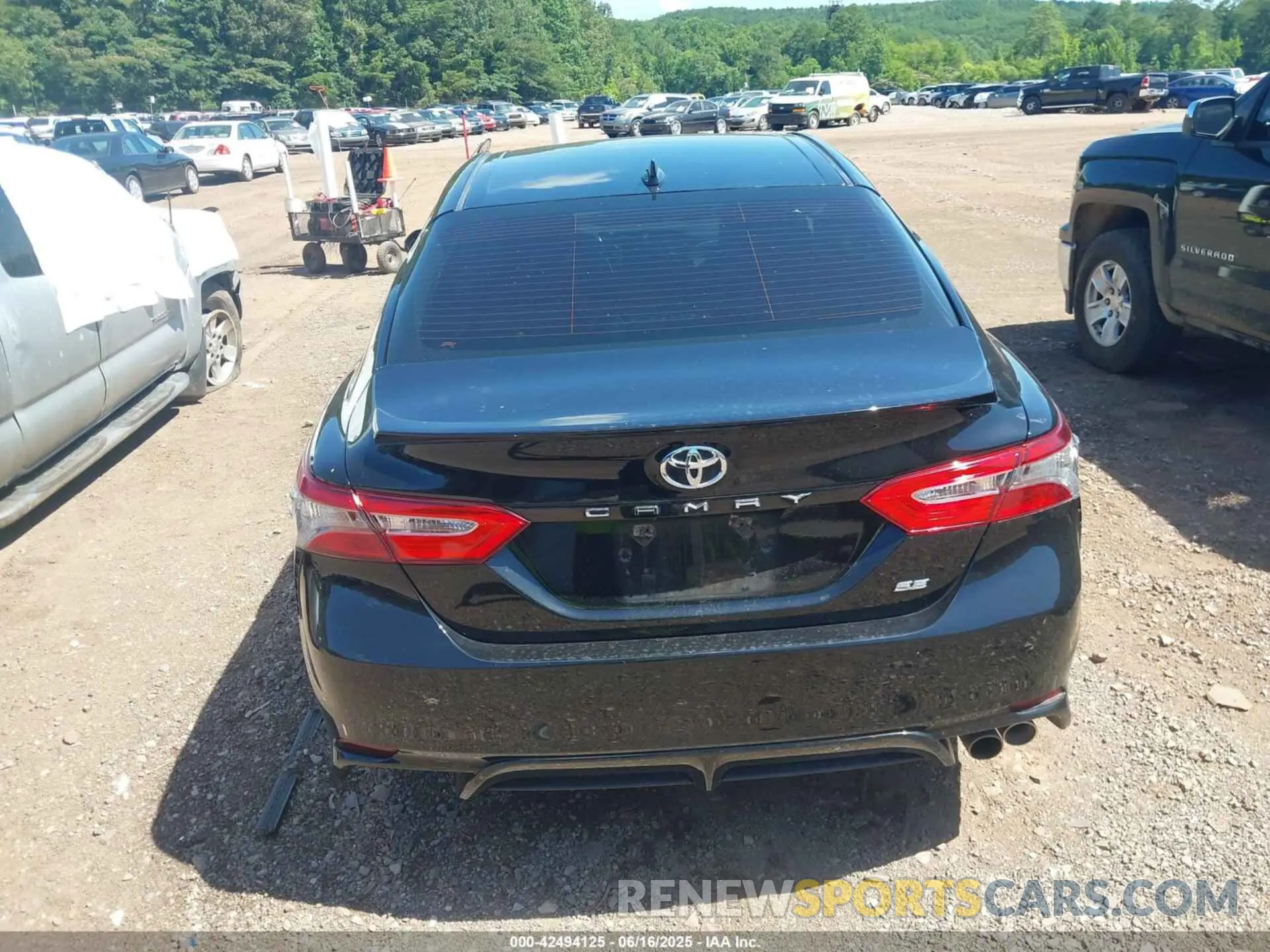 16 fotografías del automóvil dañado 4T1B11HK1KU827434 TOYOTA CAMRY 2019