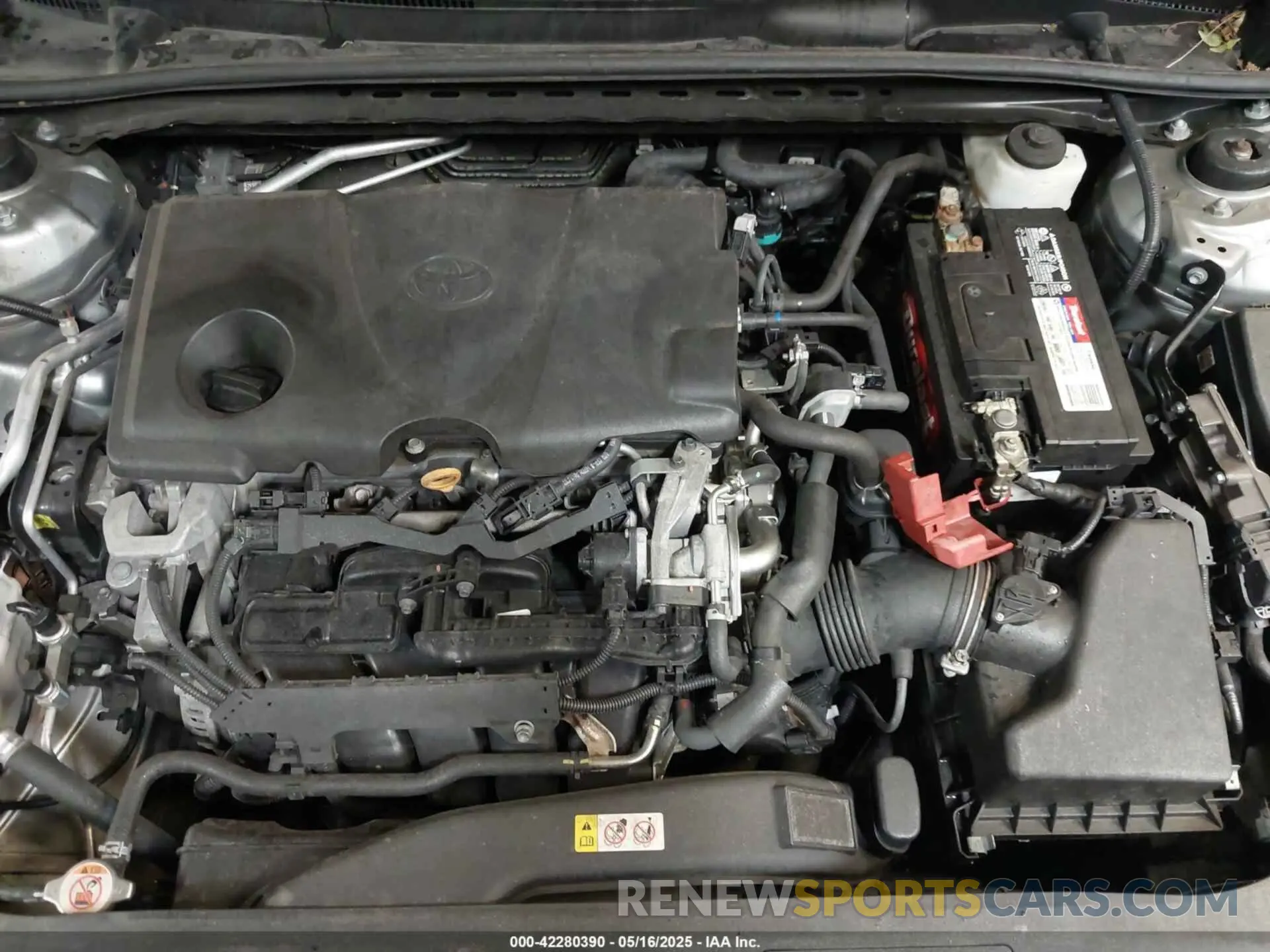 10 fotografías del automóvil dañado 4T1B11HK1KU834643 TOYOTA CAMRY 2019