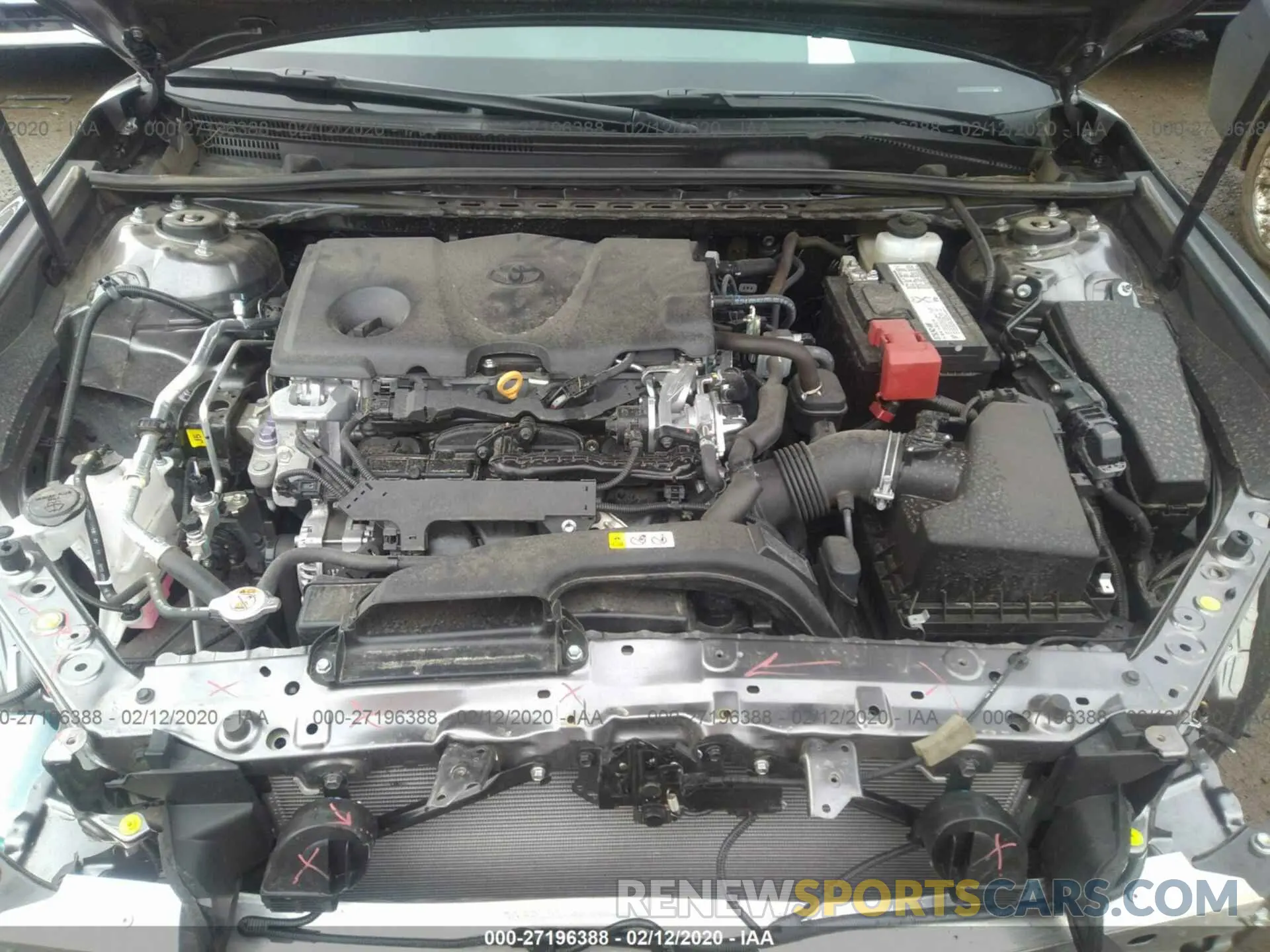 10 fotografías del automóvil dañado 4T1B11HK1KU843505 TOYOTA CAMRY 2019