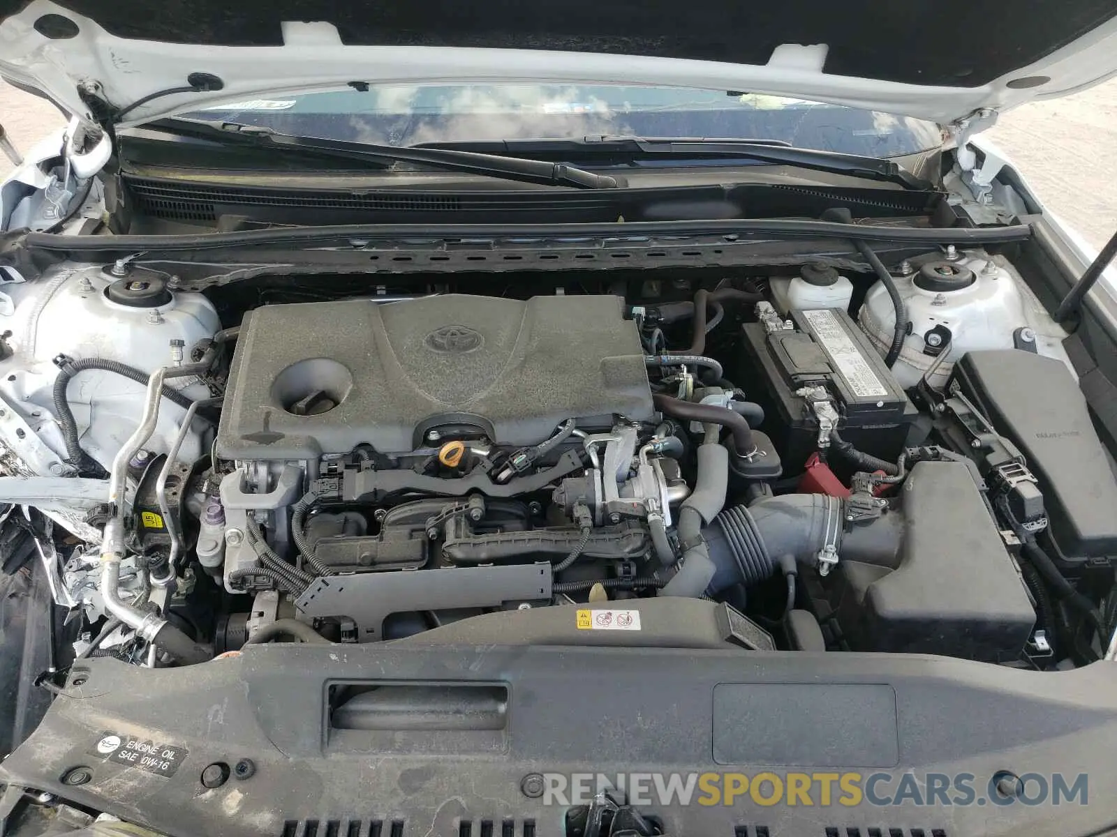 7 fotografías del automóvil dañado 4T1B11HK2KU162656 TOYOTA CAMRY 2019