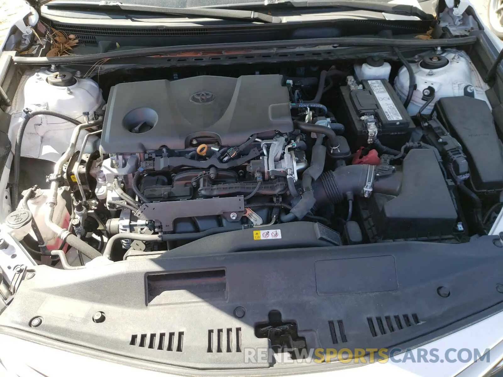 7 fotografías del automóvil dañado 4T1B11HK2KU169686 TOYOTA CAMRY 2019