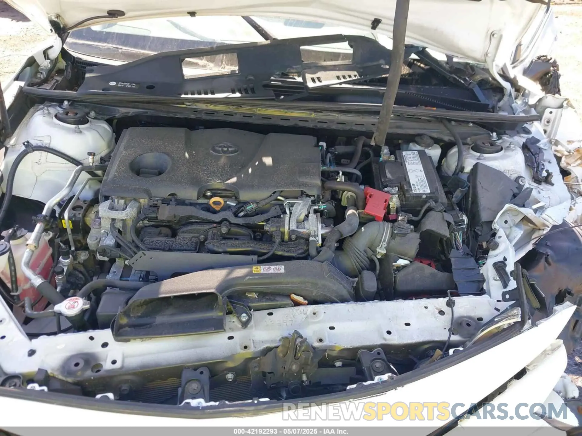 10 fotografías del automóvil dañado 4T1B11HK2KU187475 TOYOTA CAMRY 2019