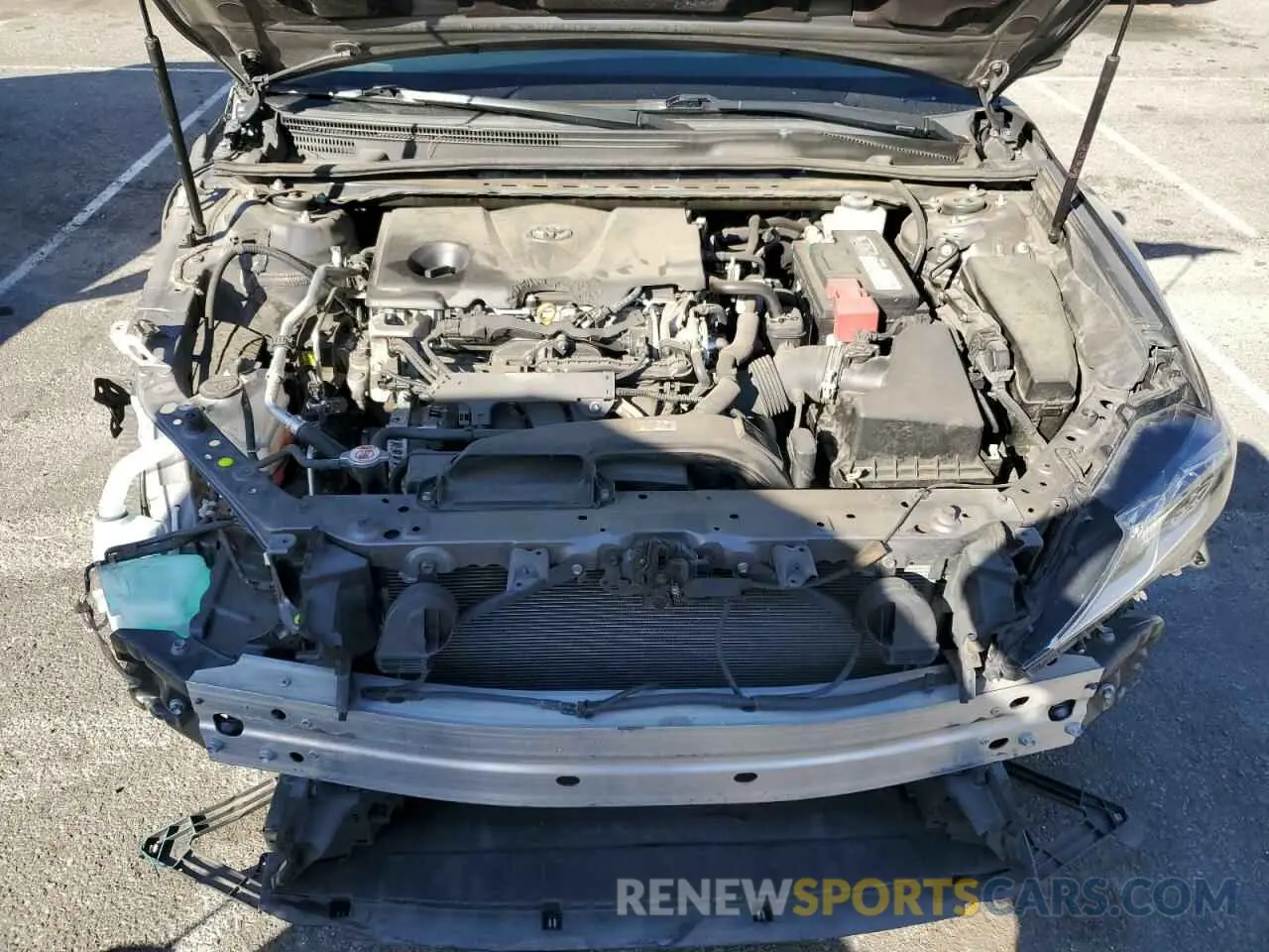 11 fotografías del automóvil dañado 4T1B11HK2KU190098 TOYOTA CAMRY 2019