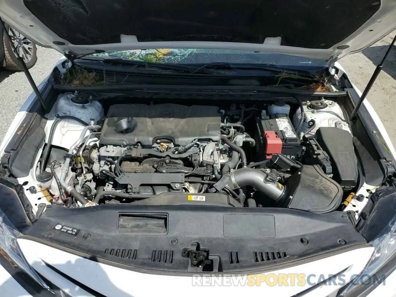 11 fotografías del automóvil dañado 4T1B11HK2KU191929 TOYOTA CAMRY 2019