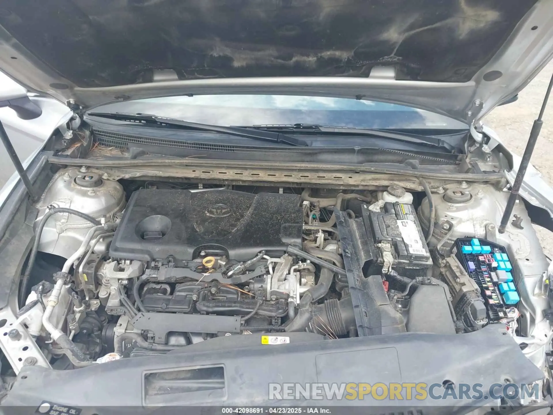 10 fotografías del automóvil dañado 4T1B11HK2KU198783 TOYOTA CAMRY 2019