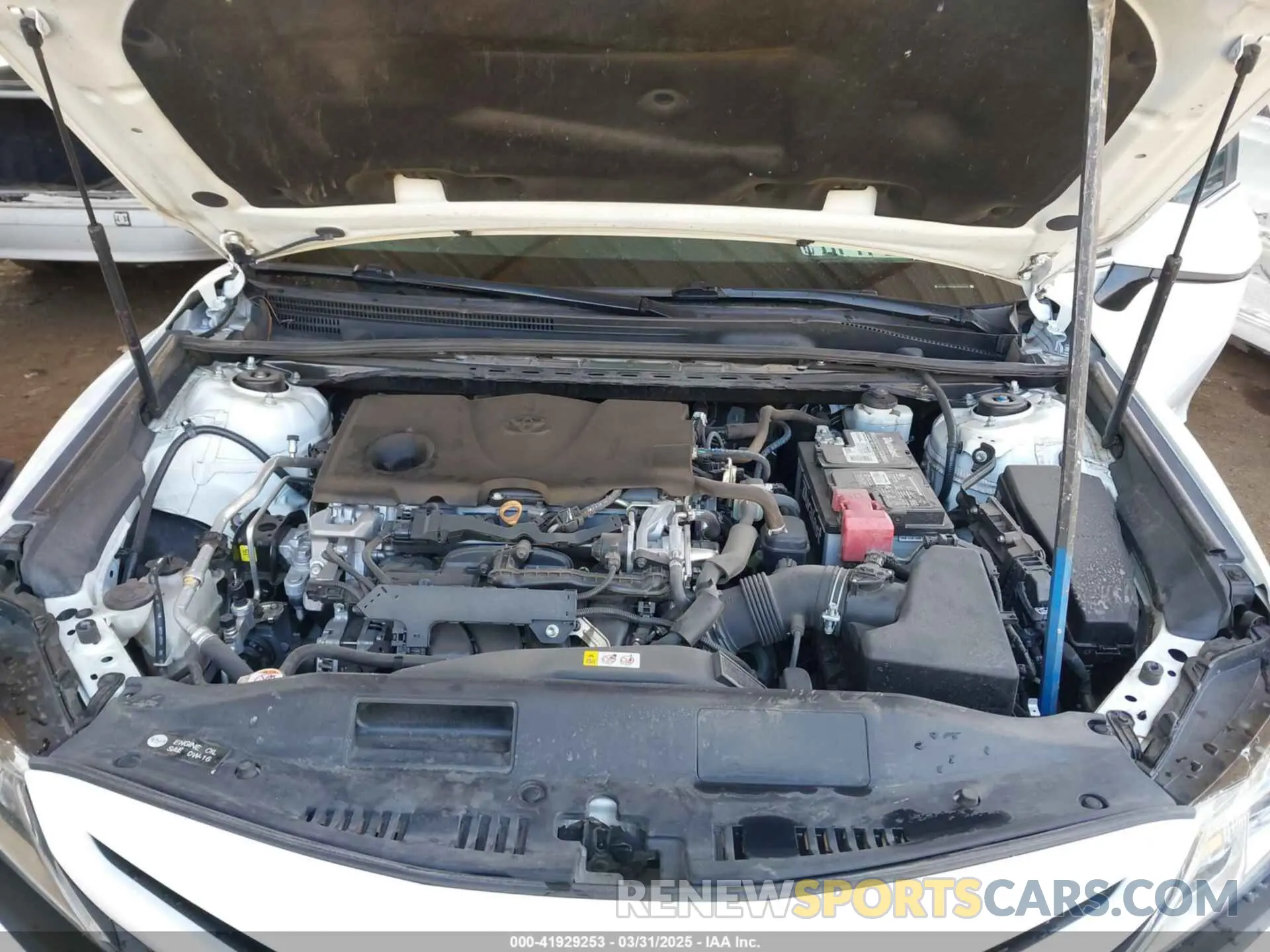 10 fotografías del automóvil dañado 4T1B11HK2KU210219 TOYOTA CAMRY 2019