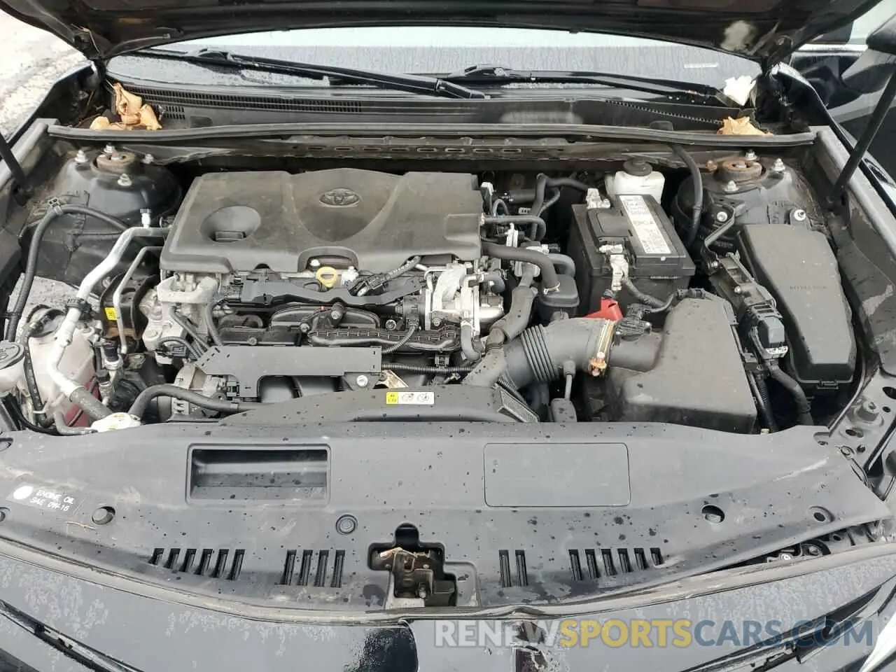 12 fotografías del automóvil dañado 4T1B11HK2KU222936 TOYOTA CAMRY 2019