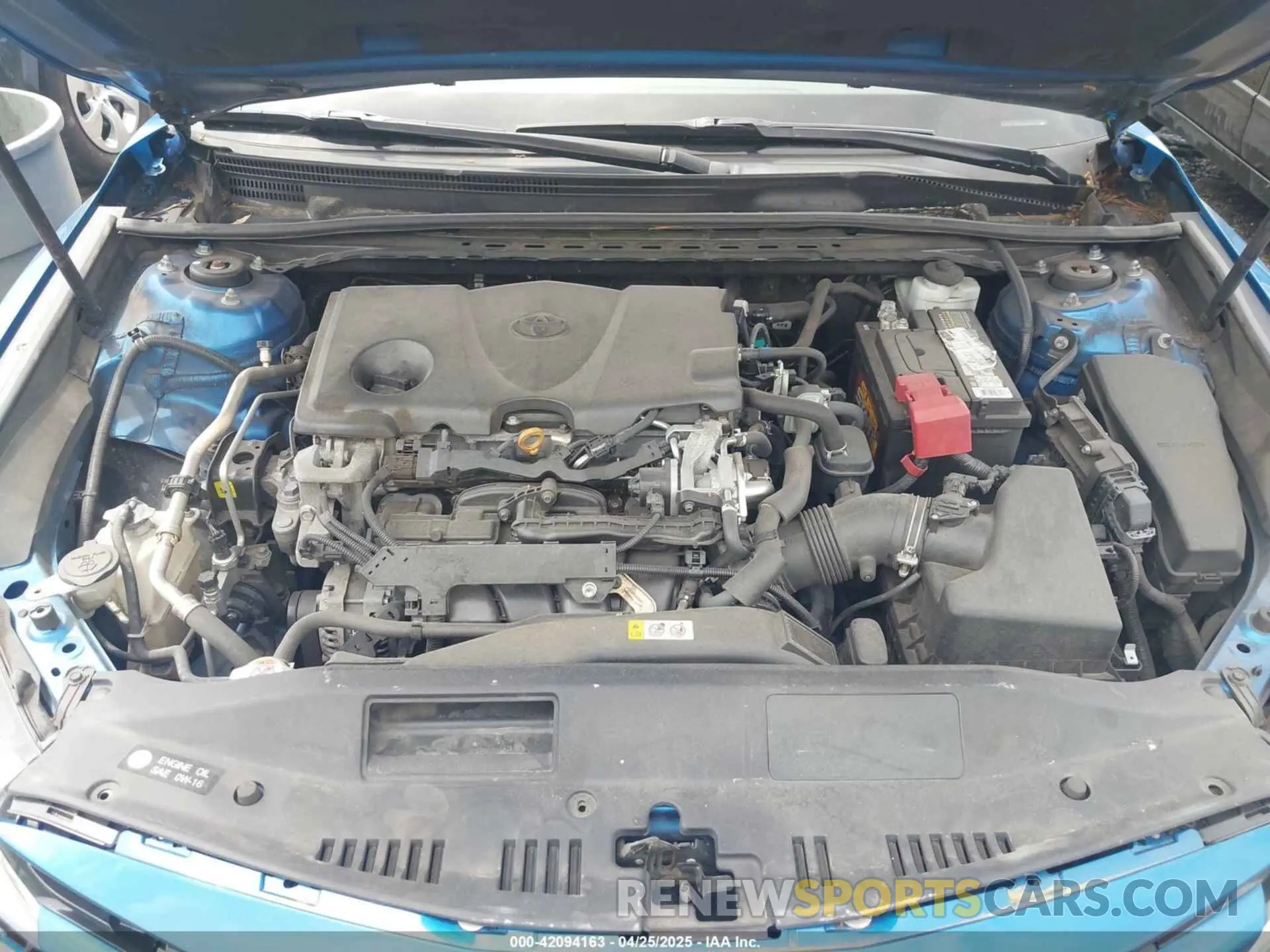 10 fotografías del automóvil dañado 4T1B11HK2KU238232 TOYOTA CAMRY 2019