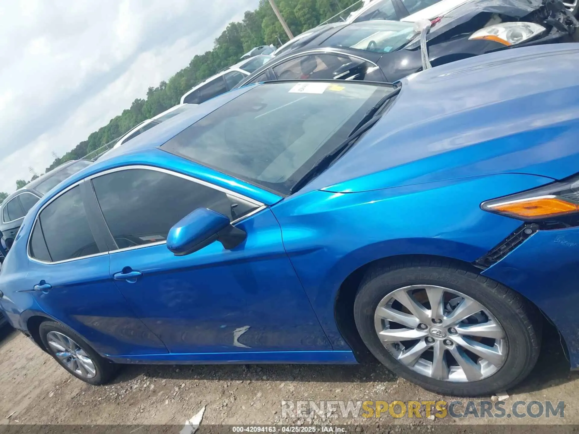13 fotografías del automóvil dañado 4T1B11HK2KU238232 TOYOTA CAMRY 2019