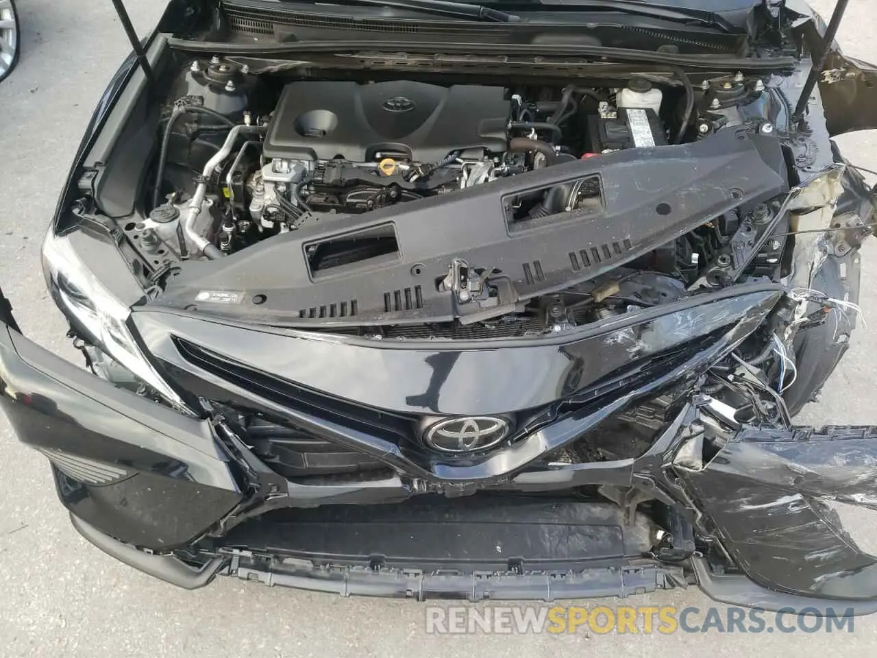 7 fotografías del automóvil dañado 4T1B11HK2KU249330 TOYOTA CAMRY 2019