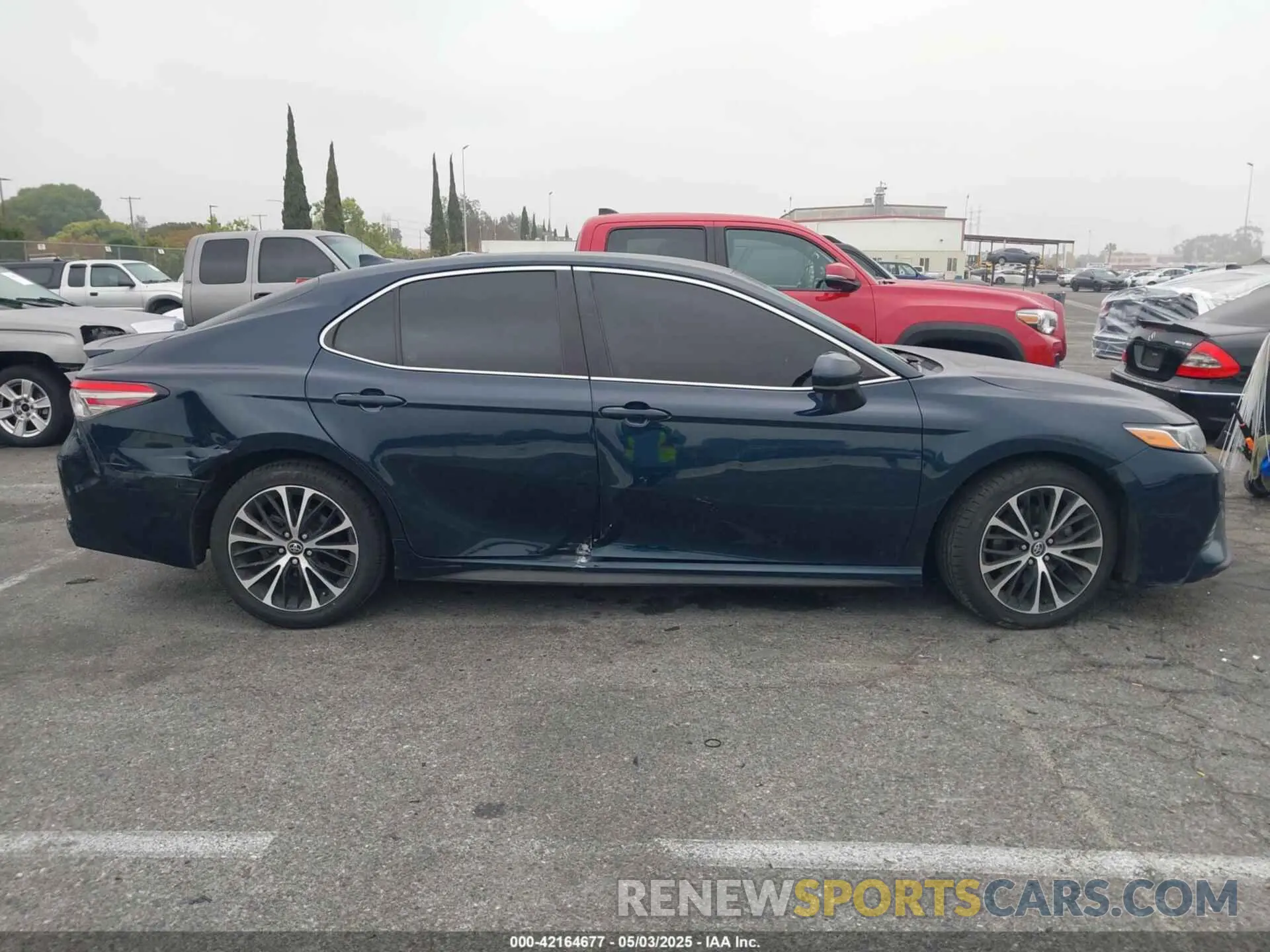 13 fotografías del automóvil dañado 4T1B11HK2KU263082 TOYOTA CAMRY 2019