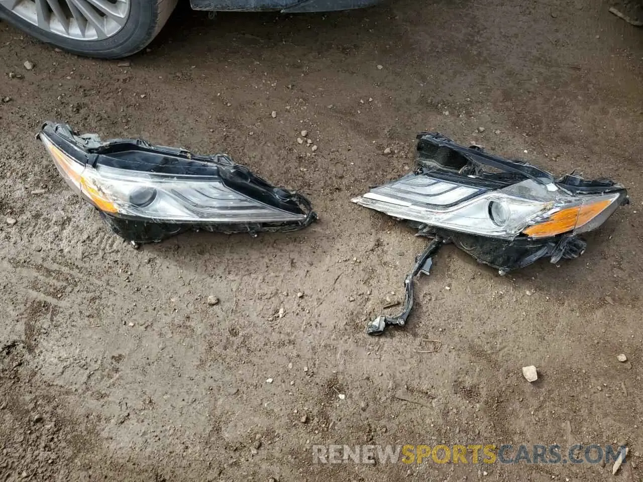 12 fotografías del automóvil dañado 4T1B11HK2KU681433 TOYOTA CAMRY 2019