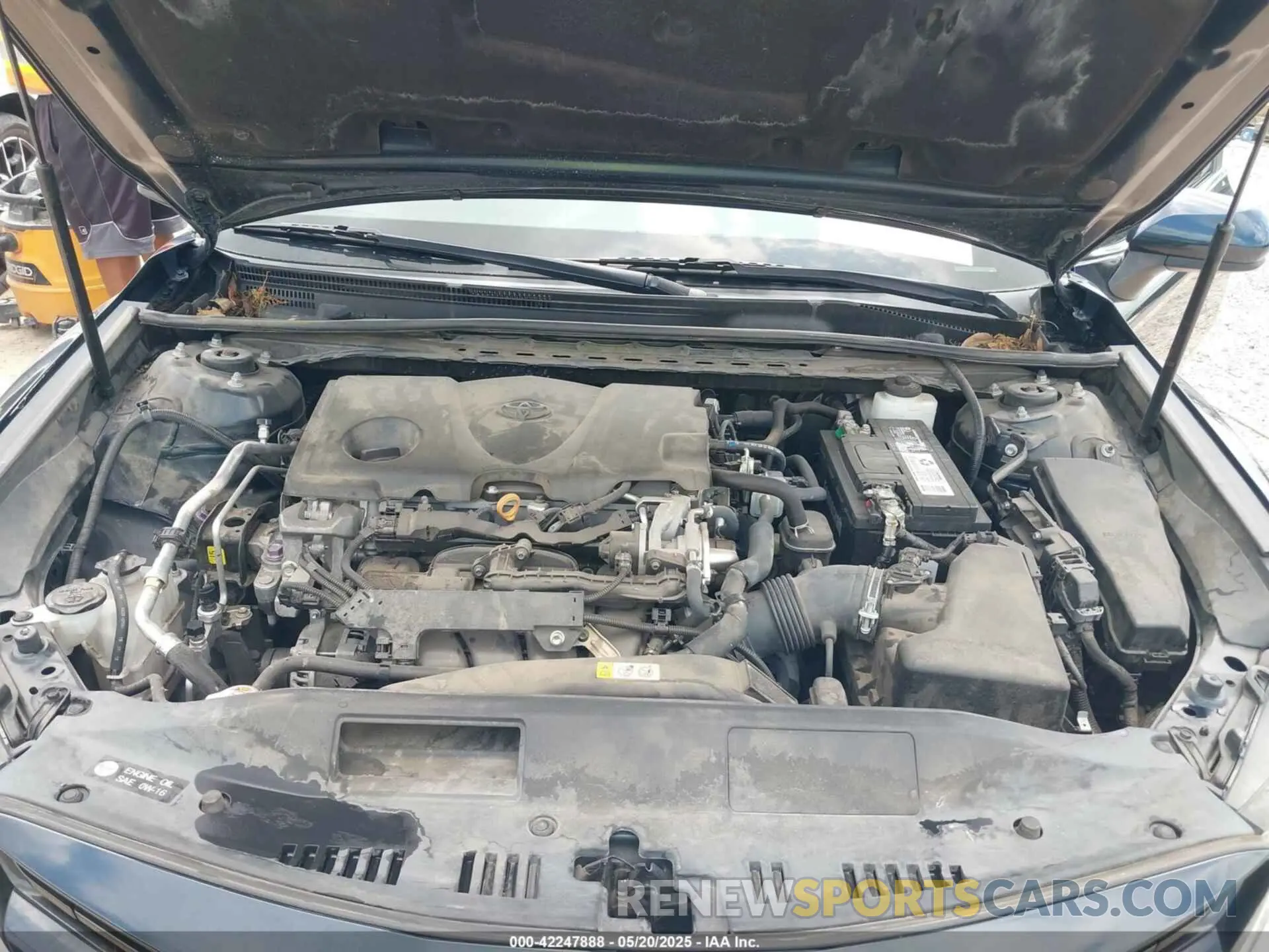 10 fotografías del automóvil dañado 4T1B11HK2KU713944 TOYOTA CAMRY 2019