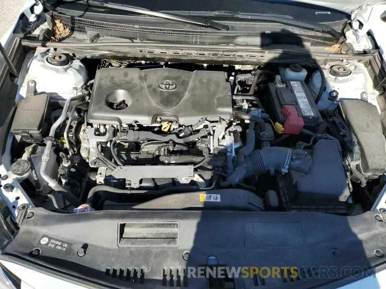 11 fotografías del automóvil dañado 4T1B11HK2KU766823 TOYOTA CAMRY 2019
