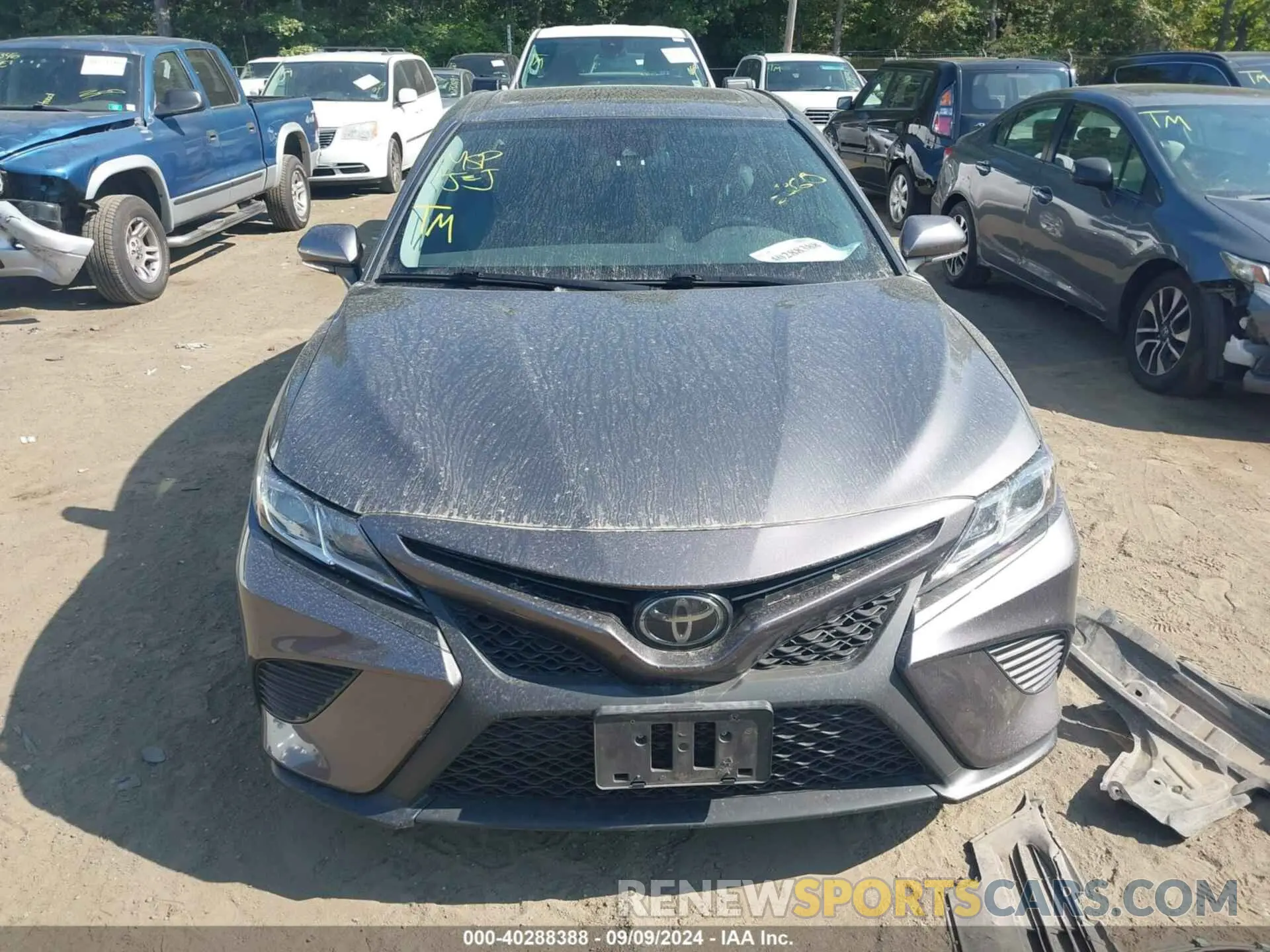 12 fotografías del automóvil dañado 4T1B11HK2KU792709 TOYOTA CAMRY 2019