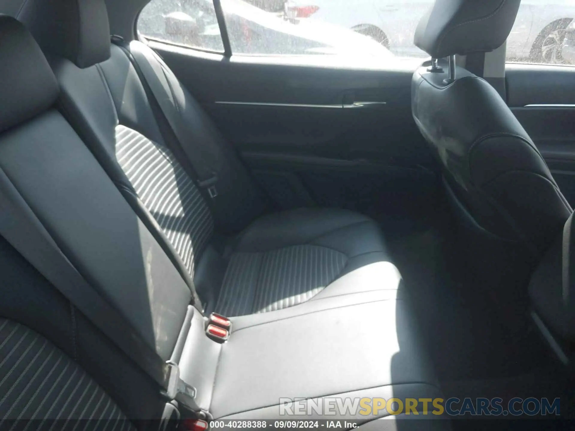 8 fotografías del automóvil dañado 4T1B11HK2KU792709 TOYOTA CAMRY 2019
