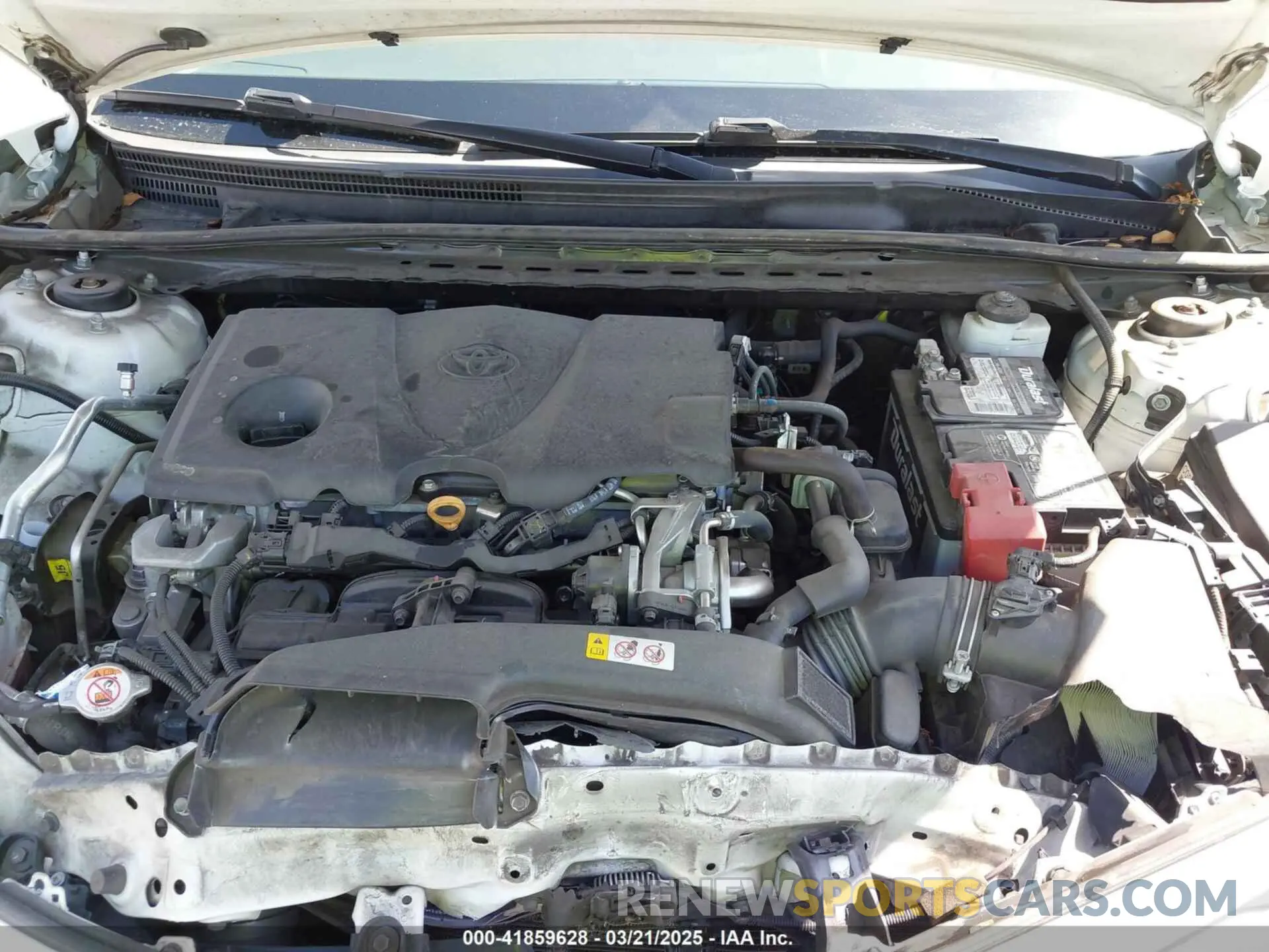 10 fotografías del automóvil dañado 4T1B11HK2KU804101 TOYOTA CAMRY 2019