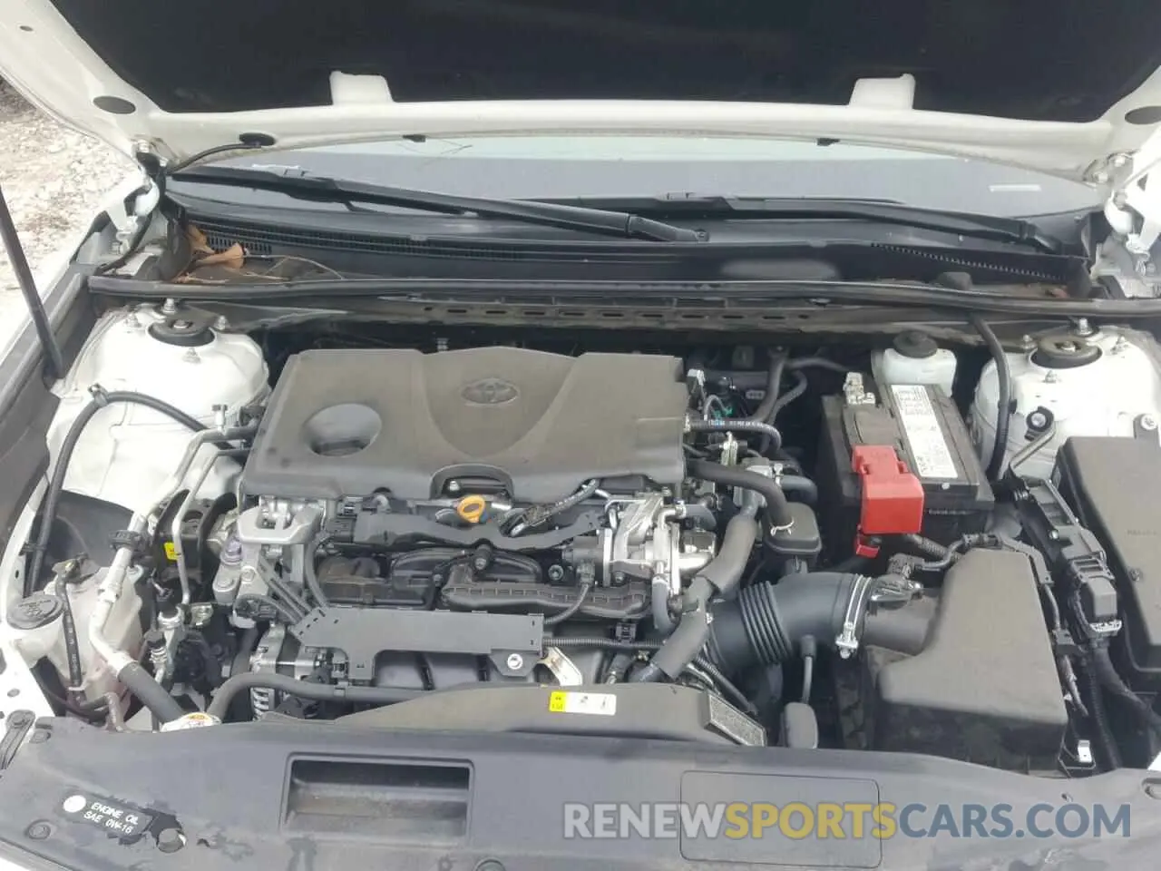 7 fotografías del automóvil dañado 4T1B11HK2KU822288 TOYOTA CAMRY 2019