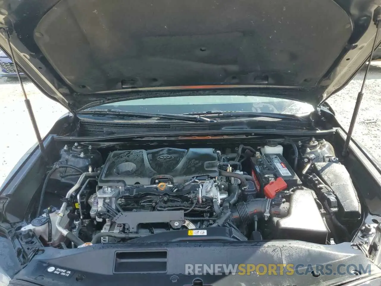 11 fotografías del automóvil dañado 4T1B11HK2KU831024 TOYOTA CAMRY 2019