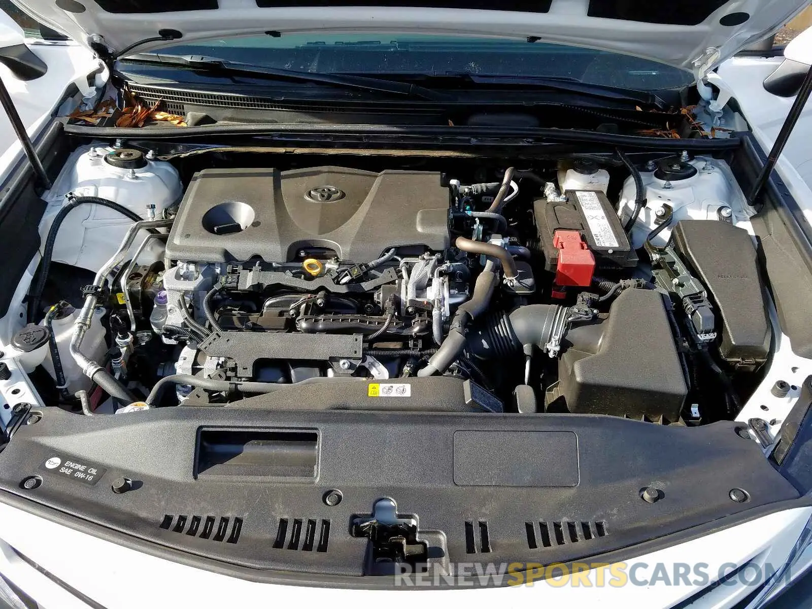 7 fotografías del automóvil dañado 4T1B11HK2KU838040 TOYOTA CAMRY 2019