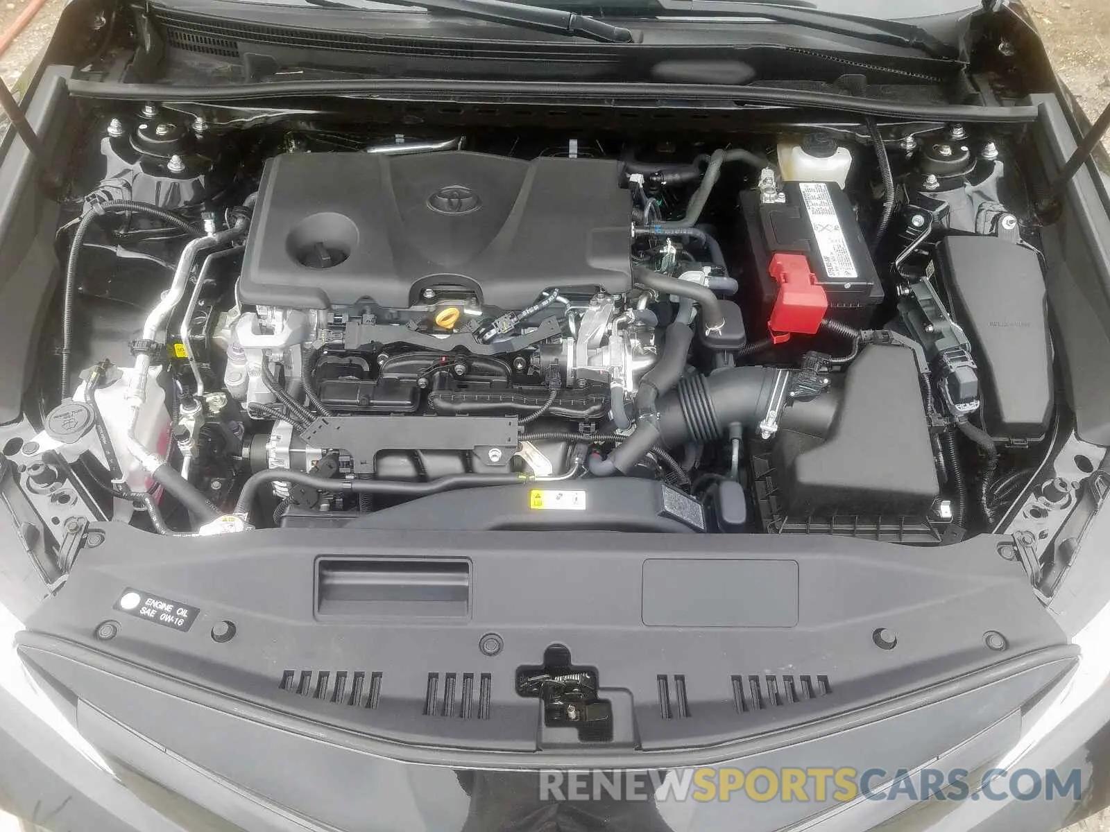 7 fotografías del automóvil dañado 4T1B11HK2KU847790 TOYOTA CAMRY 2019