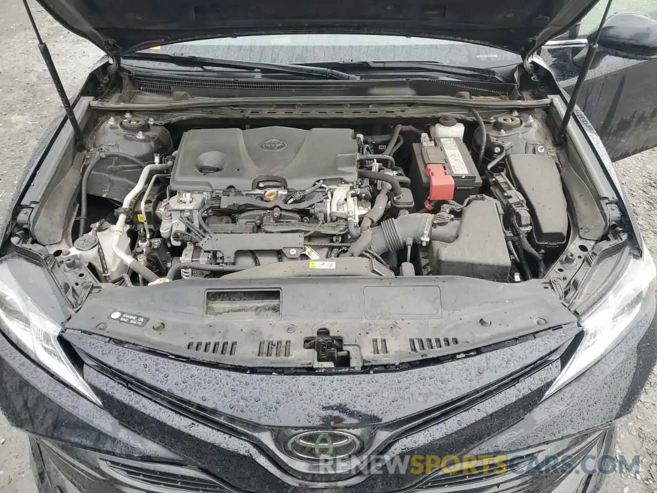 12 fotografías del automóvil dañado 4T1B11HK2KU852827 TOYOTA CAMRY 2019