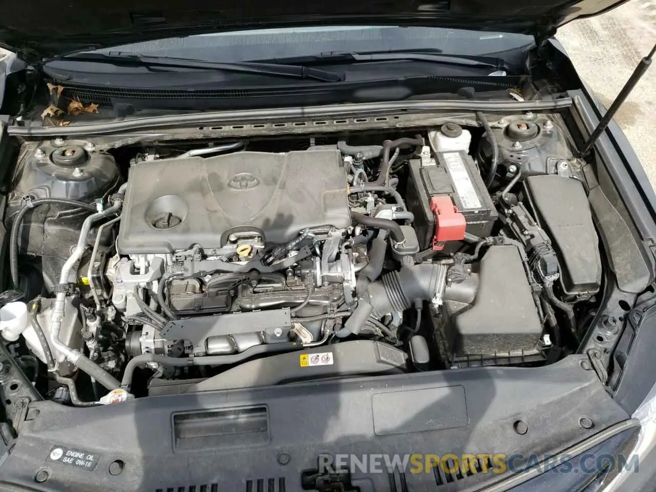 7 fotografías del automóvil dañado 4T1B11HK2KU856215 TOYOTA CAMRY 2019