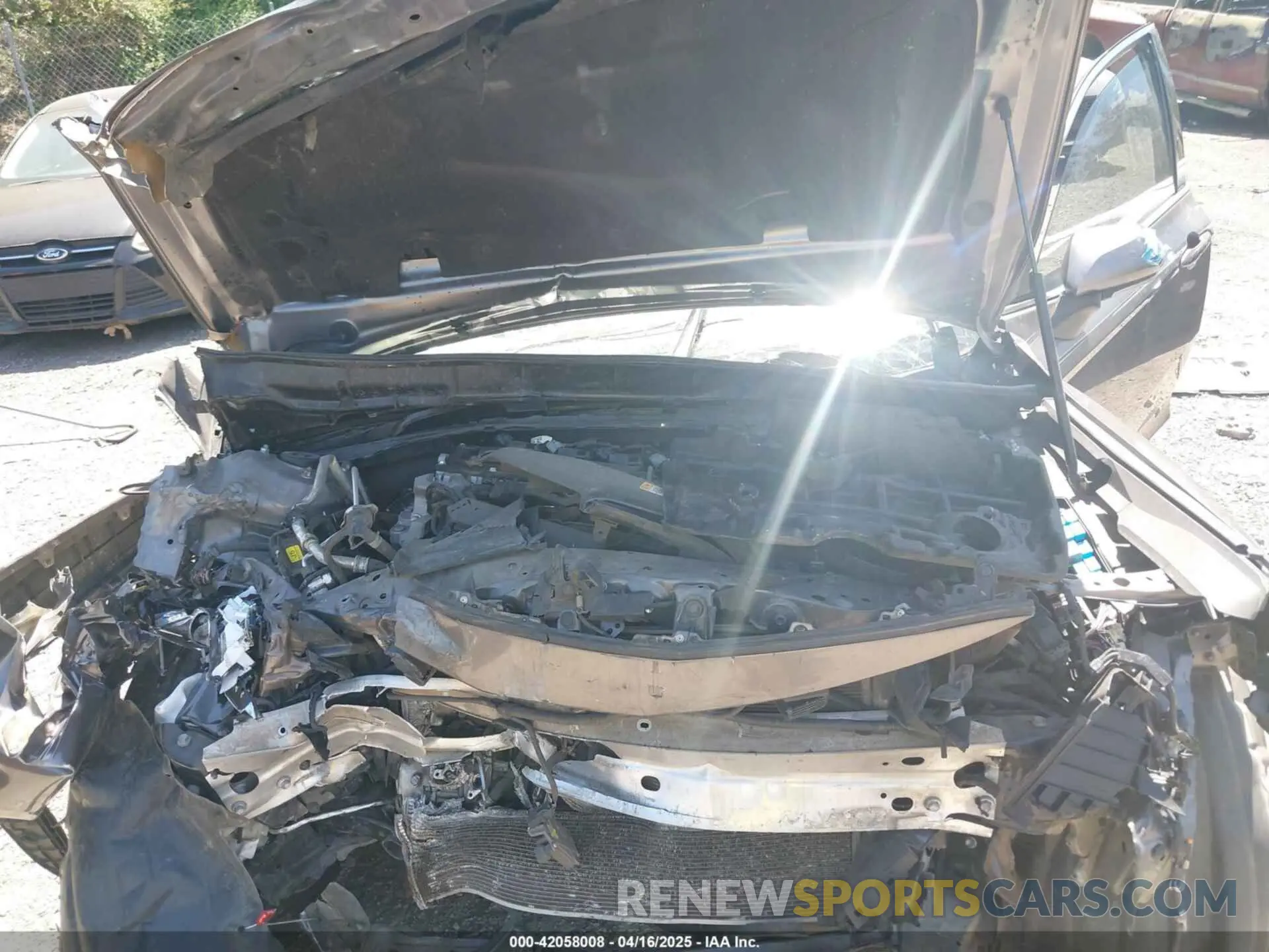 10 fotografías del automóvil dañado 4T1B11HK3KU163623 TOYOTA CAMRY 2019