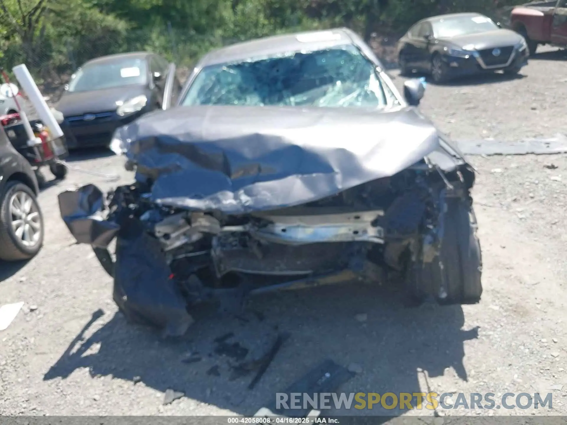 6 fotografías del automóvil dañado 4T1B11HK3KU163623 TOYOTA CAMRY 2019