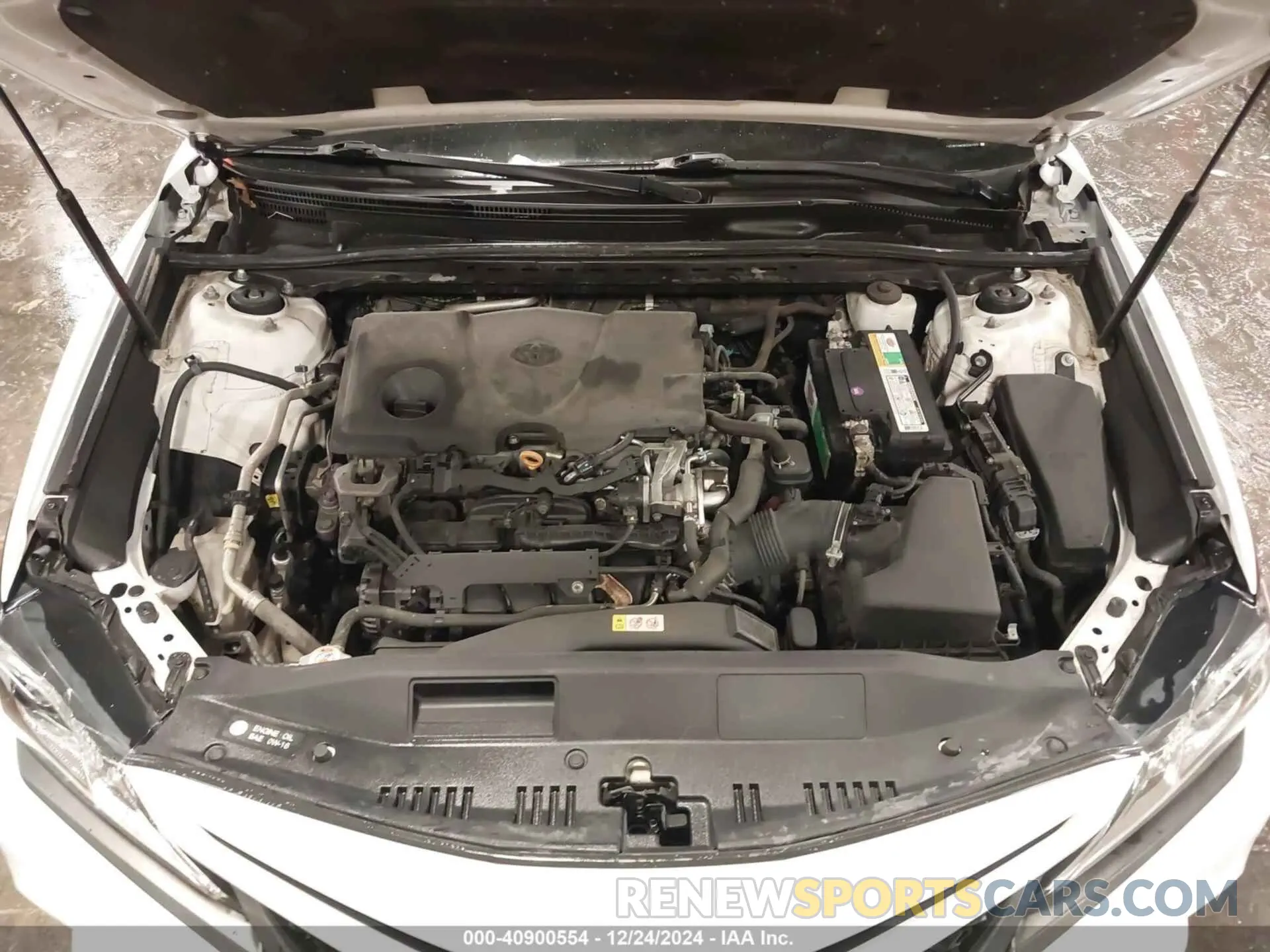 10 fotografías del automóvil dañado 4T1B11HK3KU191177 TOYOTA CAMRY 2019