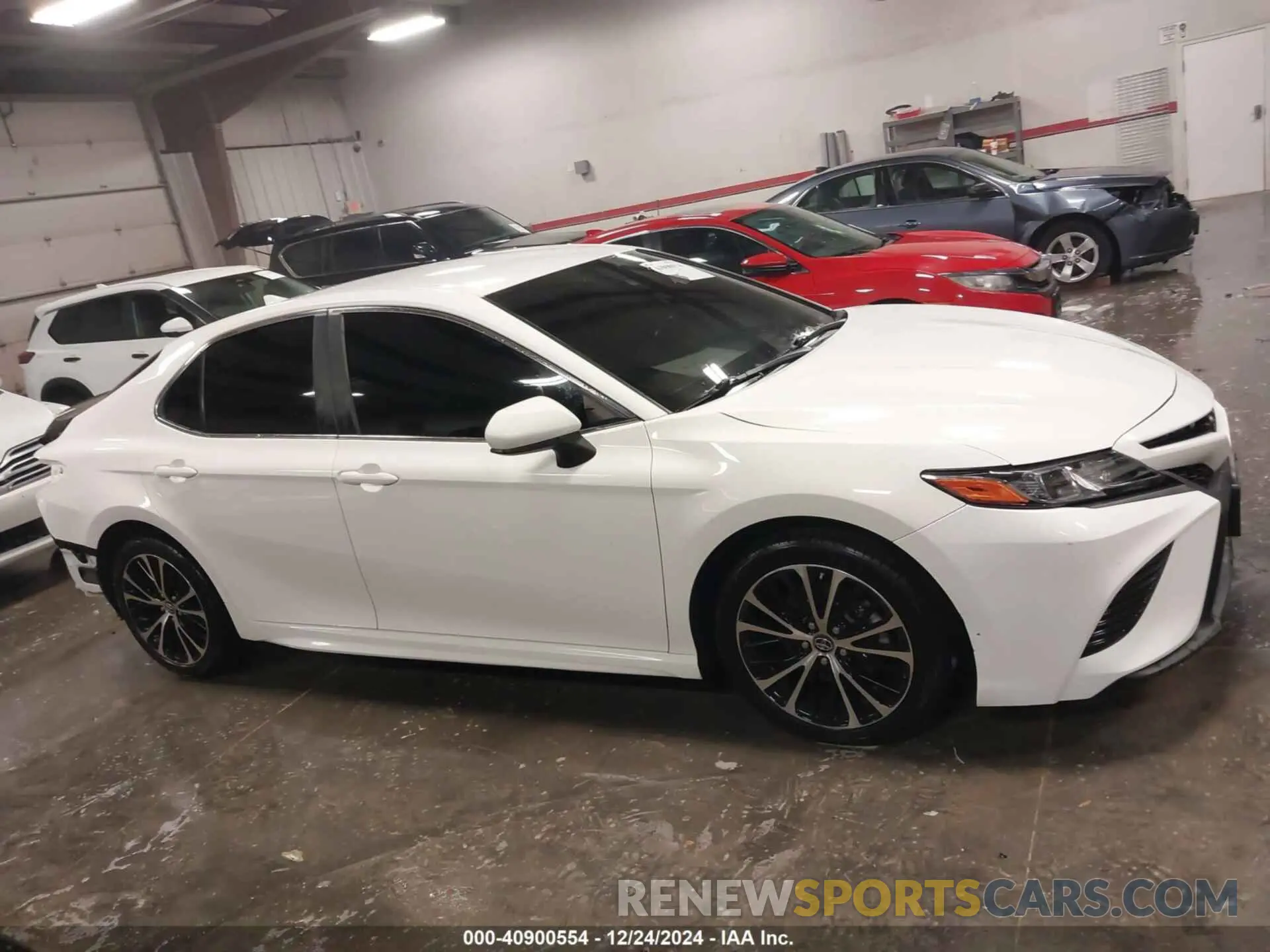 14 fotografías del automóvil dañado 4T1B11HK3KU191177 TOYOTA CAMRY 2019