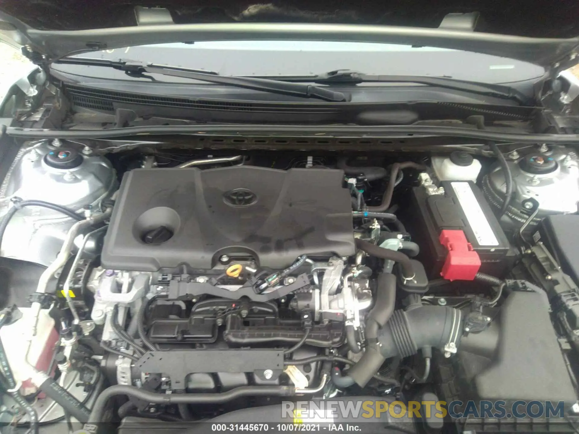 10 fotografías del automóvil dañado 4T1B11HK3KU204834 TOYOTA CAMRY 2019