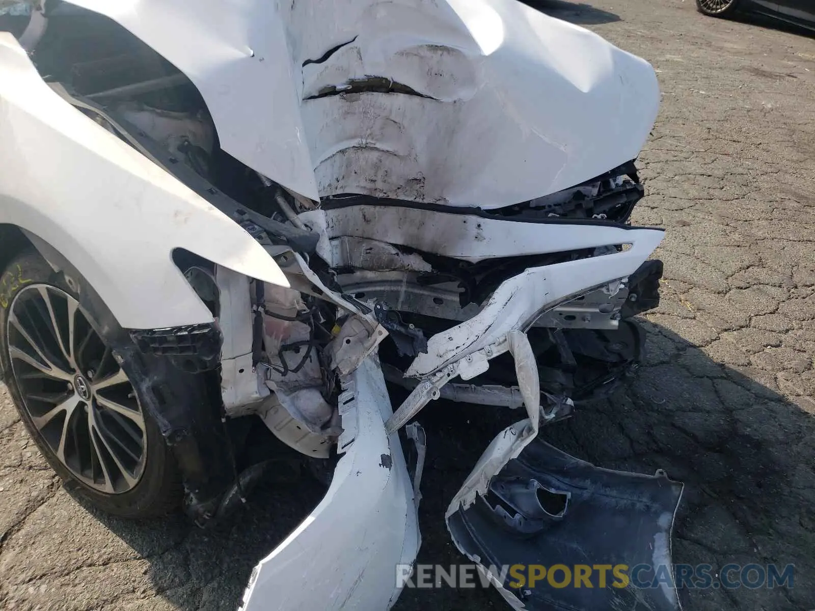 9 fotografías del automóvil dañado 4T1B11HK3KU211590 TOYOTA CAMRY 2019
