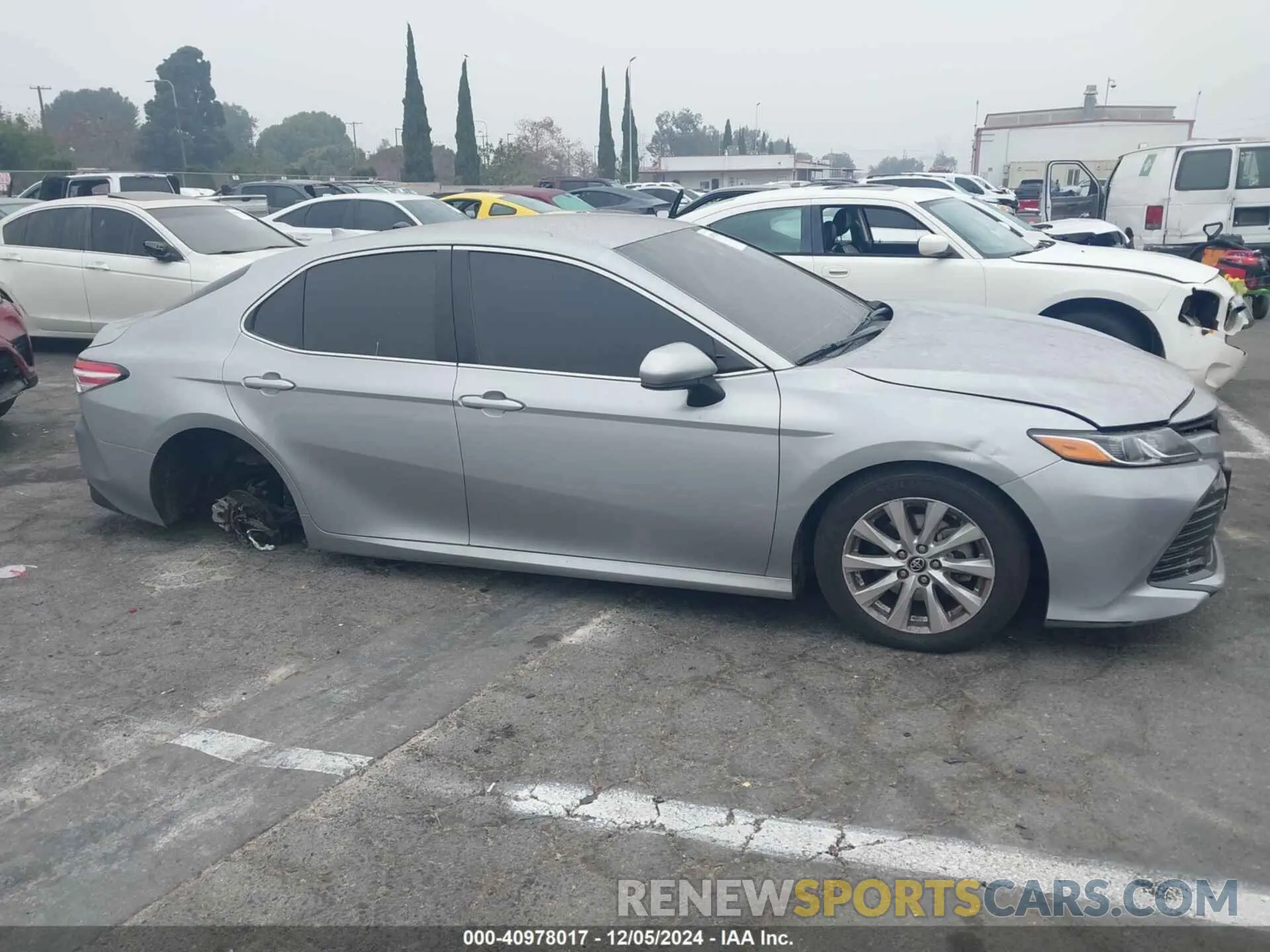 14 fotografías del automóvil dañado 4T1B11HK3KU212982 TOYOTA CAMRY 2019