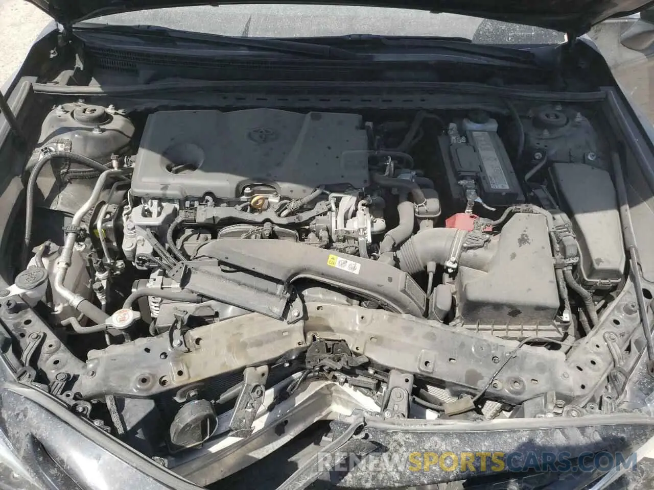 7 fotografías del automóvil dañado 4T1B11HK3KU217146 TOYOTA CAMRY 2019
