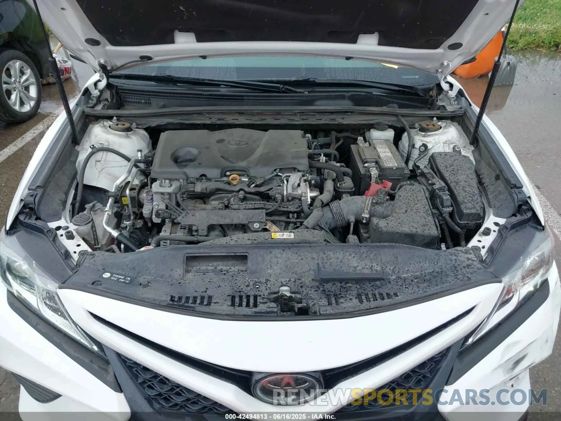 10 fotografías del automóvil dañado 4T1B11HK3KU221939 TOYOTA CAMRY 2019