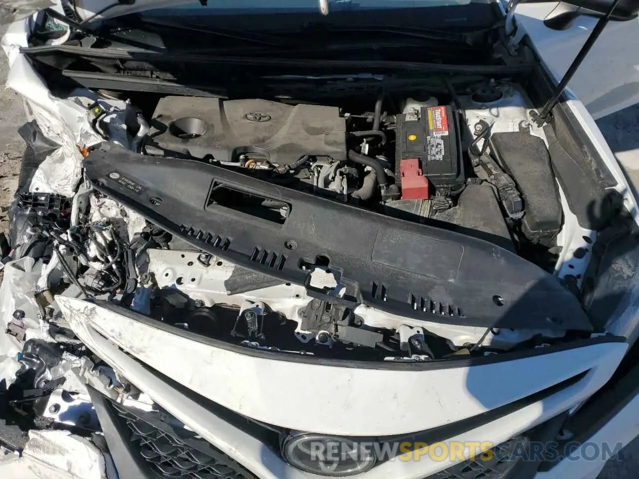 12 fotografías del automóvil dañado 4T1B11HK3KU235551 TOYOTA CAMRY 2019