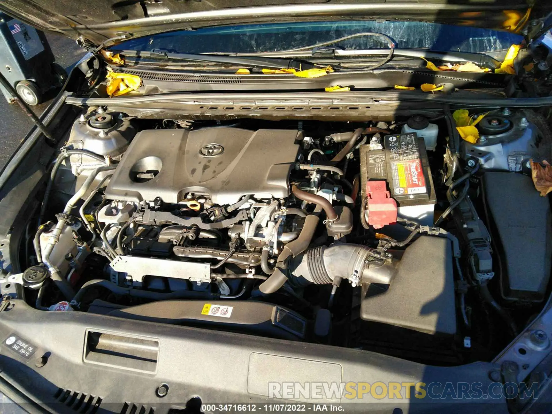 10 fotografías del automóvil dañado 4T1B11HK3KU244749 TOYOTA CAMRY 2019