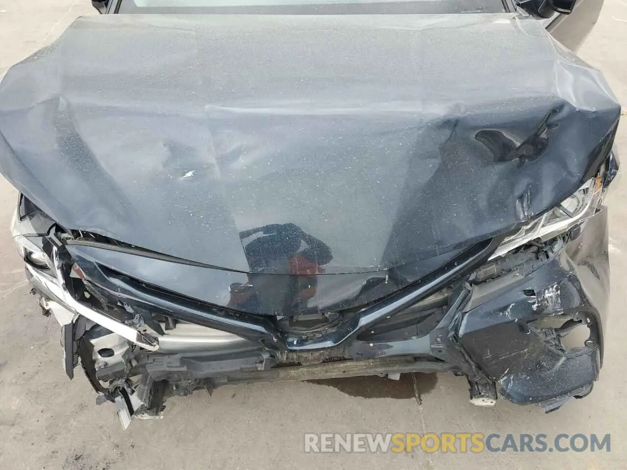 11 fotografías del automóvil dañado 4T1B11HK3KU257128 TOYOTA CAMRY 2019