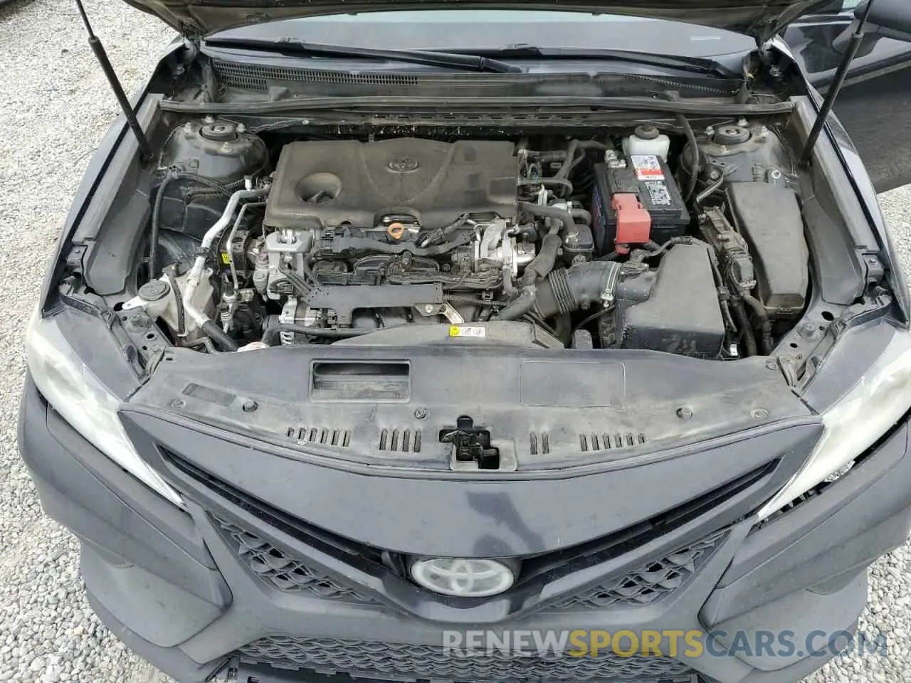 11 fotografías del automóvil dañado 4T1B11HK3KU264046 TOYOTA CAMRY 2019